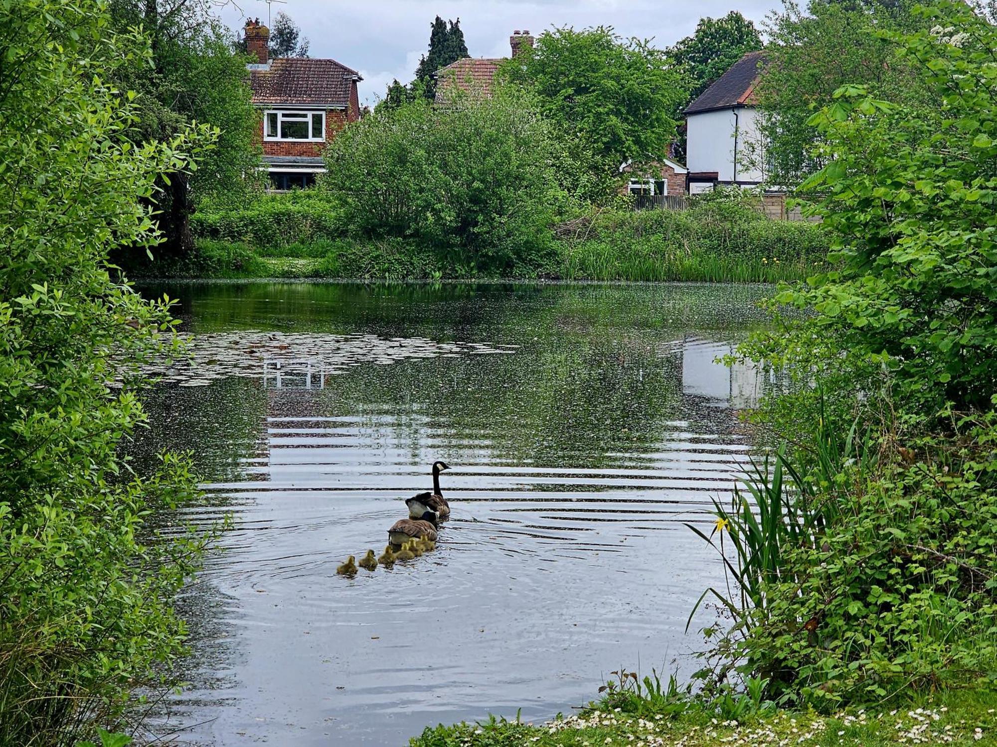 English Farmhouse Cottage กิลด์ฟอร์ด ภายนอก รูปภาพ